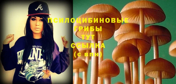 метамфетамин Козловка
